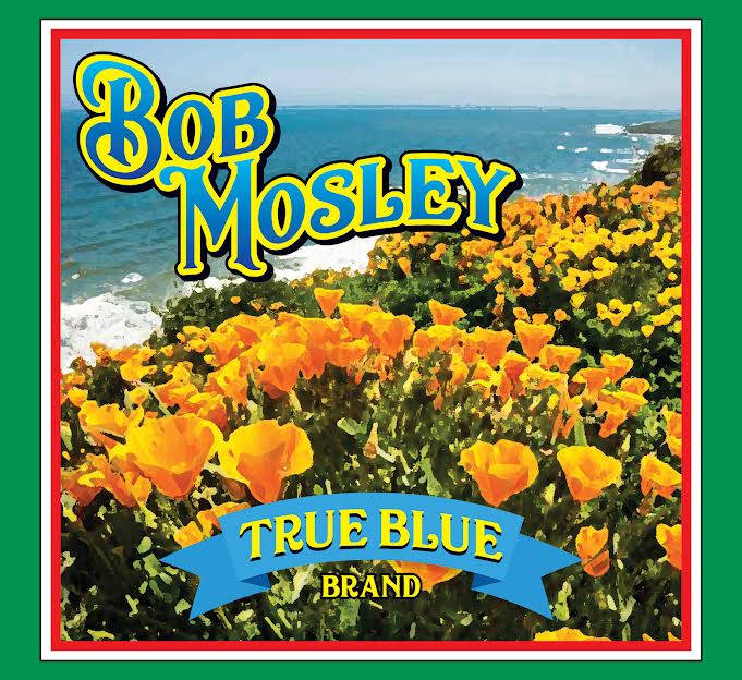 Bob Mosley 'True Blue' CD Pre-Order
